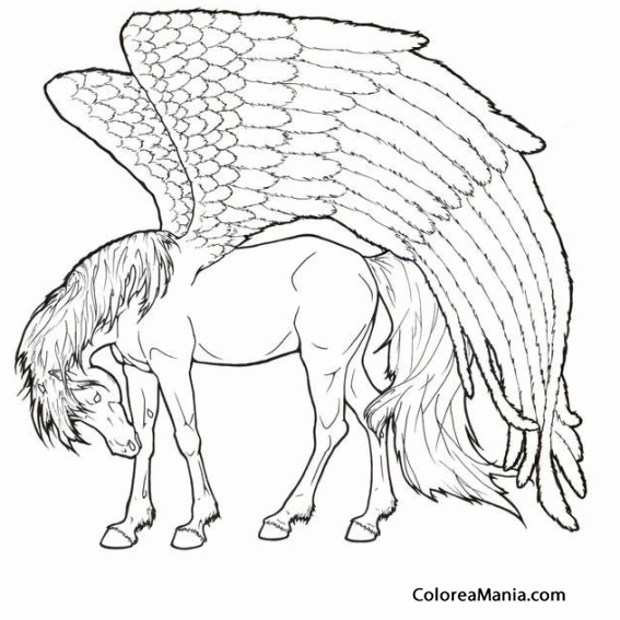 Colorear Pegaso de alas enormes