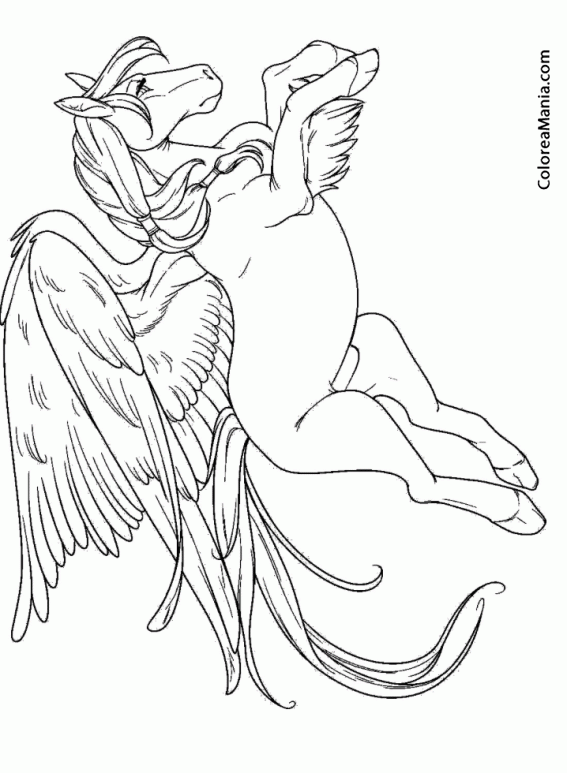 Colorear Pegaso 3