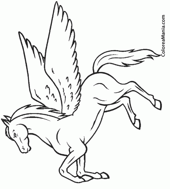 Colorear Pegaso alzado de patas