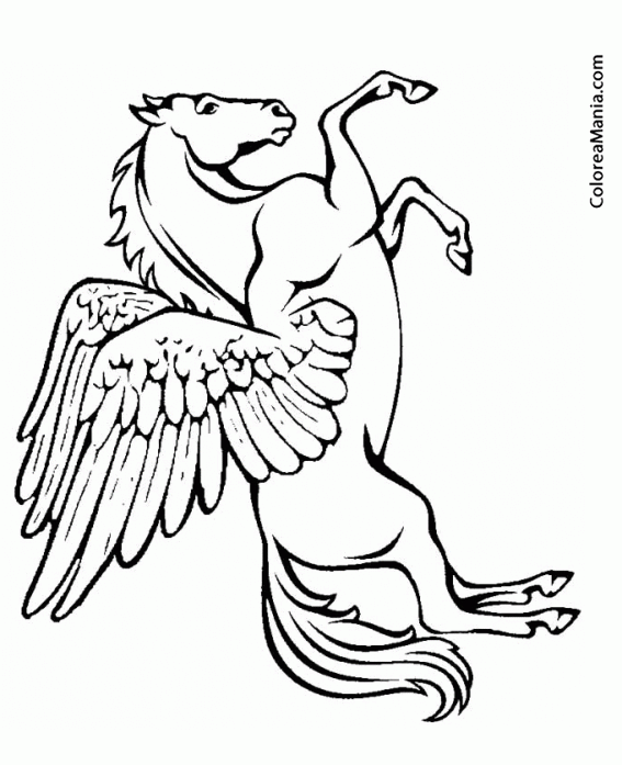 Colorear Pegaso. Pegasus