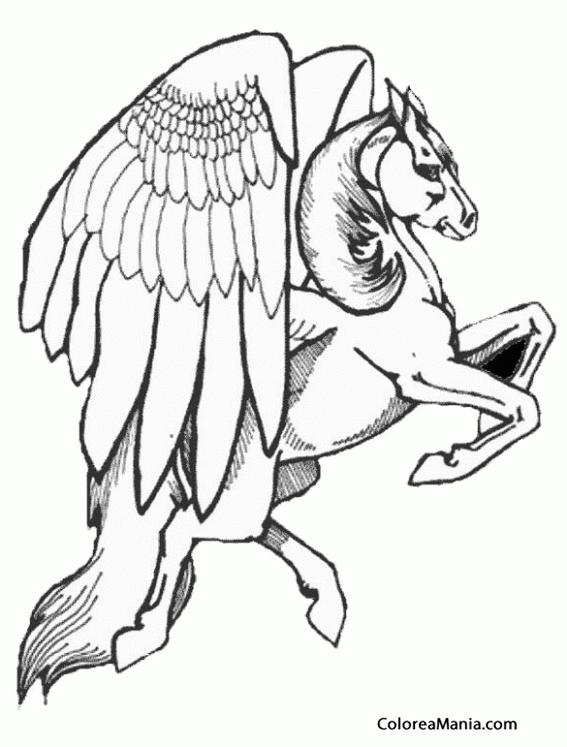 Colorear Pegaso. Pegasus. Pgase 2