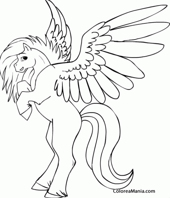 Colorear Pegaso. Pegasus. Pgase 3