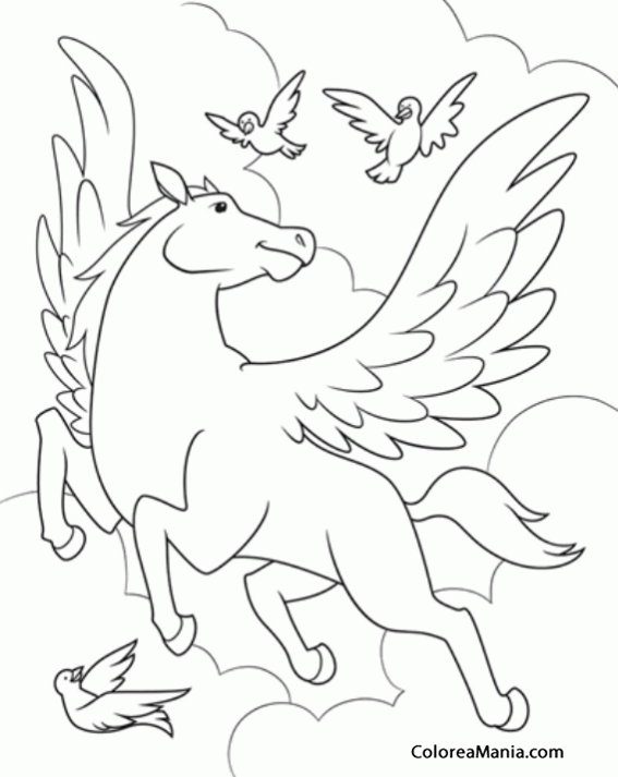 Colorear Pegaso con pajaritos