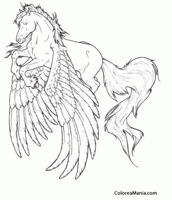 Colorear Pegaso e enormes alas