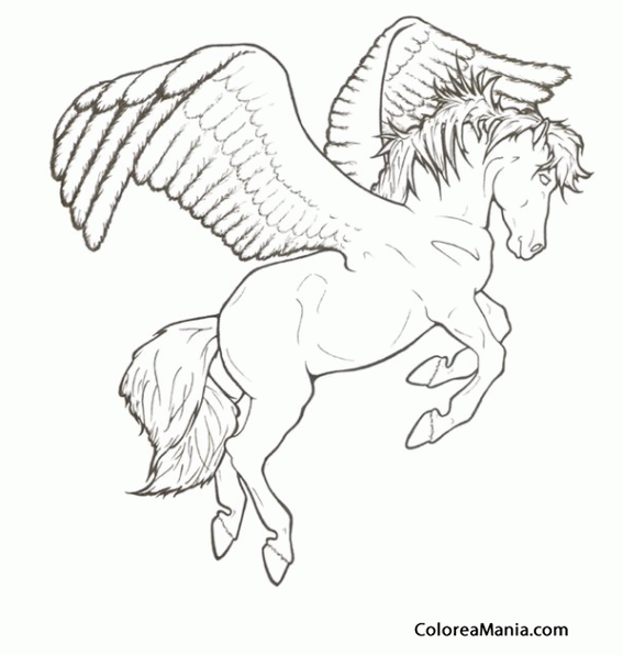 Colorear Pegaso. Pegasus. Pgase 5