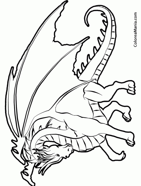 Colorear Dragones  3