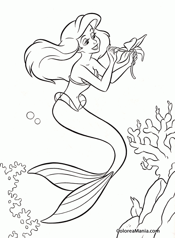 Colorear Sirena deshojando una flor