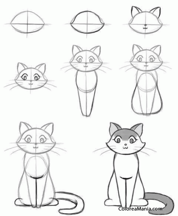 Colorear dibujar una gatita sentada de frente (Cómo dibujar animales),  dibujo para colorear gratis