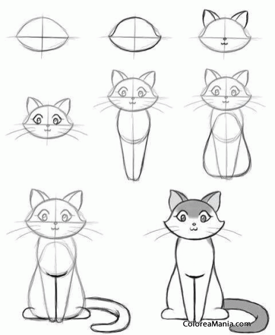 Colorear dibujar una gatita sentada de frente (Cómo dibujar animales), dibujo para colorear gratis Colorear dibujar una gatita sentada de frente (Cómo dibujar animales), dibujo para colorear gratis