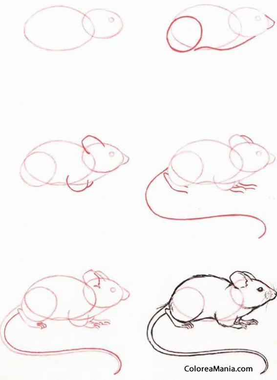 Colorear Dibujar un ratoncito (Cómo dibujar animales), dibujo para colorear gratis Colorear Dibujar un ratoncito (Cómo dibujar animales), dibujo para colorear gratis