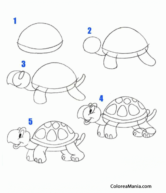 Colorear Dibujar una tortuga (Cómo dibujar animales), dibujo para colorear  gratis