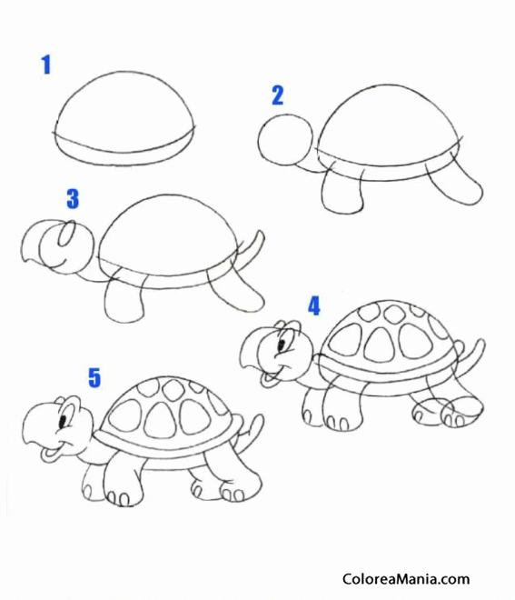 Colorear Dibujar una tortuga (Cómo dibujar animales), dibujo para colorear gratis Colorear Dibujar una tortuga (Cómo dibujar animales), dibujo para colorear gratis