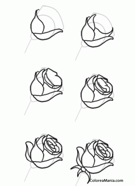 Colorear Dibujar Una Rosa Cómo Dibujar Flores Y árboles Dibujo