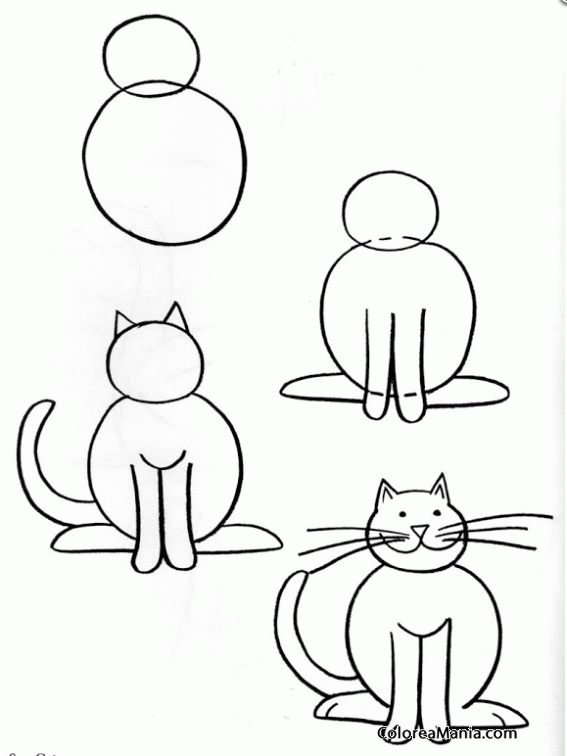 Colorear Dibujar Gato sentado