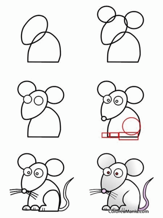 Colorear Dibujar pequeño ratón (Como dibujar roedores), dibujo para  colorear gratis