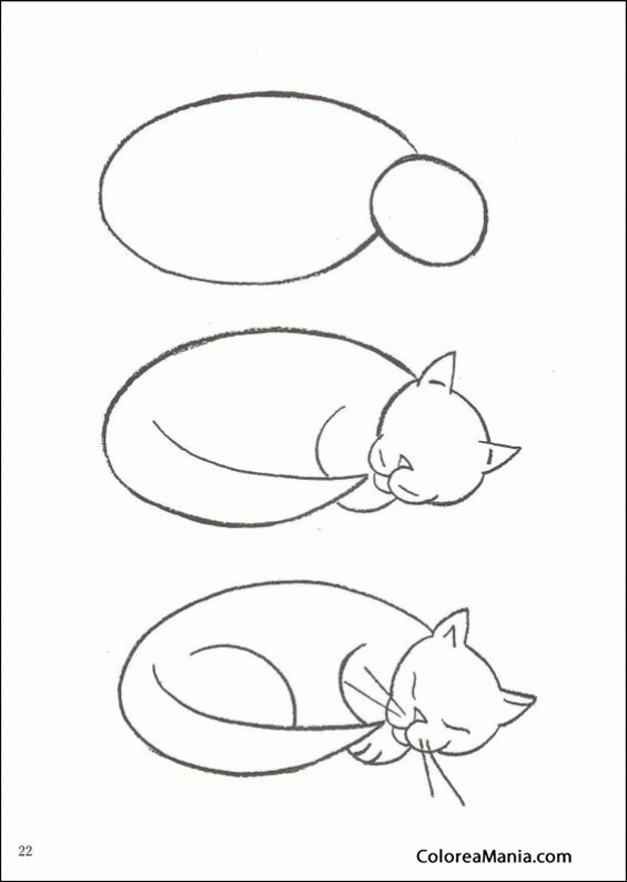 Colorear Dibujar gatito durmiendo