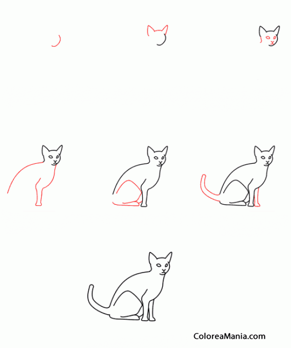Colorear Dibujar un gato en seis pasos