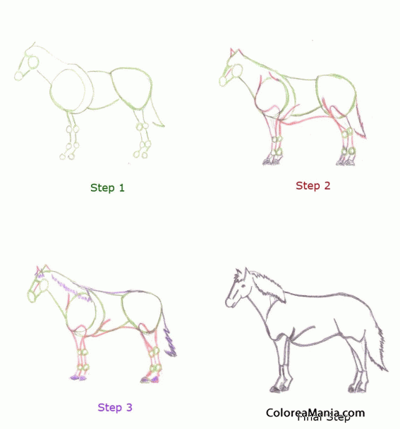 Colorear Dibujar un caballo de perfil