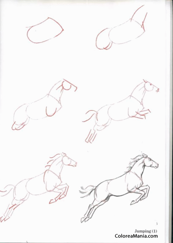 Colorear Dibujar caballo saltando