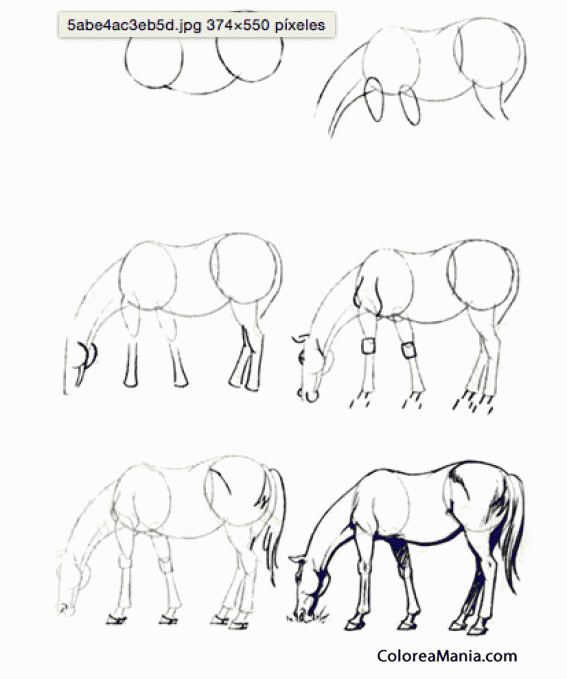 Colorear Dibujar caballo pasturando