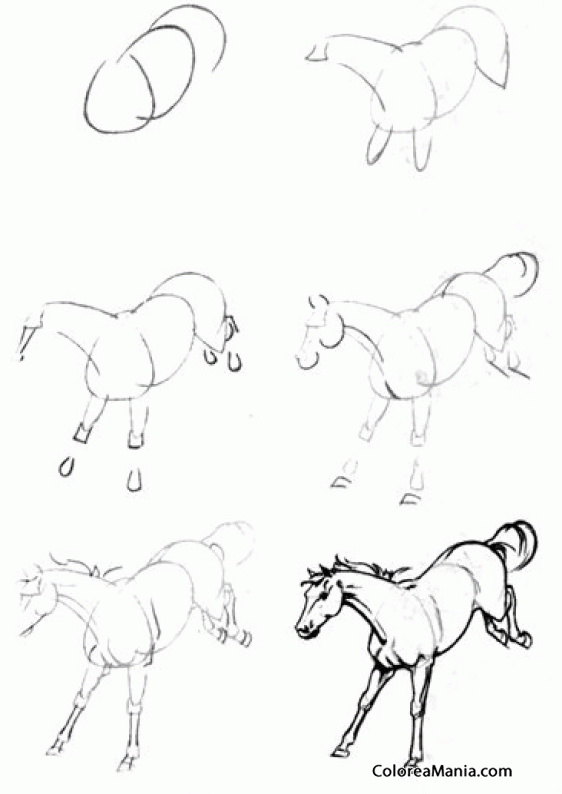 Colorear Dibujar caballo coceando
