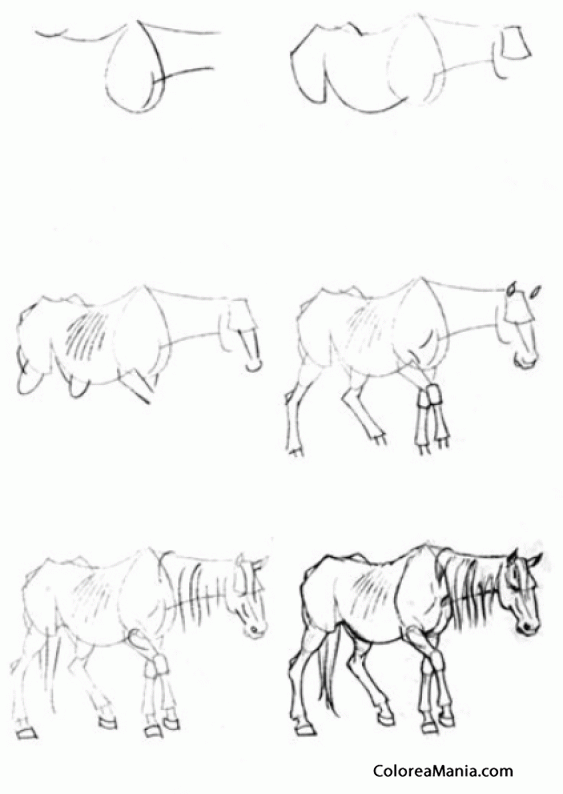 Colorear Dibujar caballo famlico