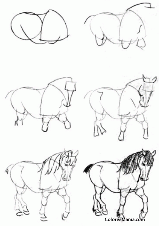 Colorear Dibujar caballo de tiro, de frente