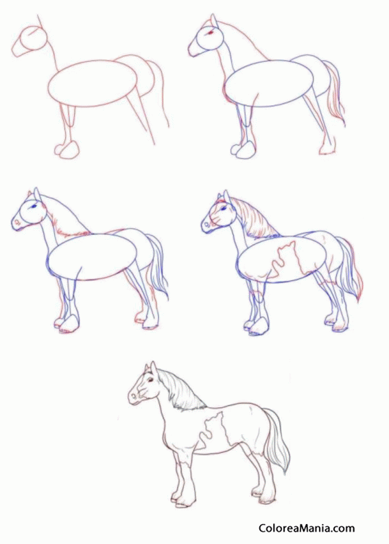 Colorear Dibujar caballo de tiro pinto