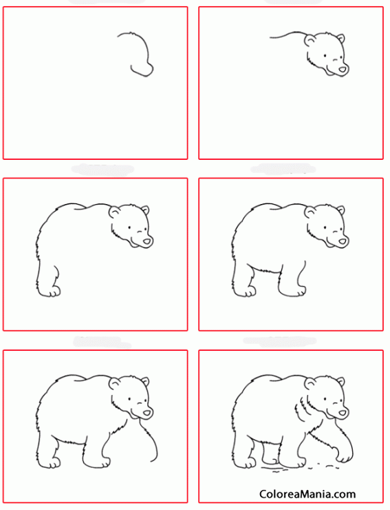 Colorear Dibujar un oso polar