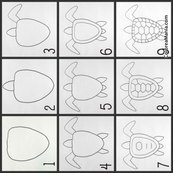 Colorear DIbujar tortuga marina