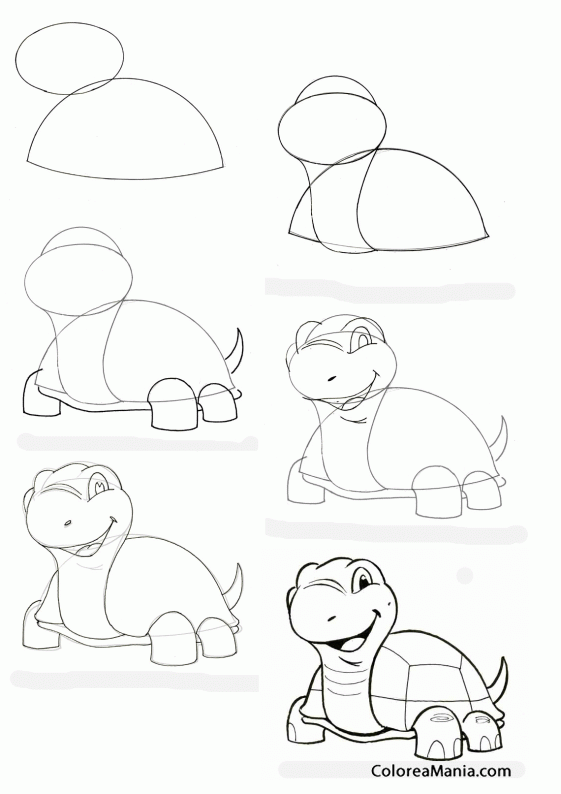 Colorear Come disegnare una tartaruga