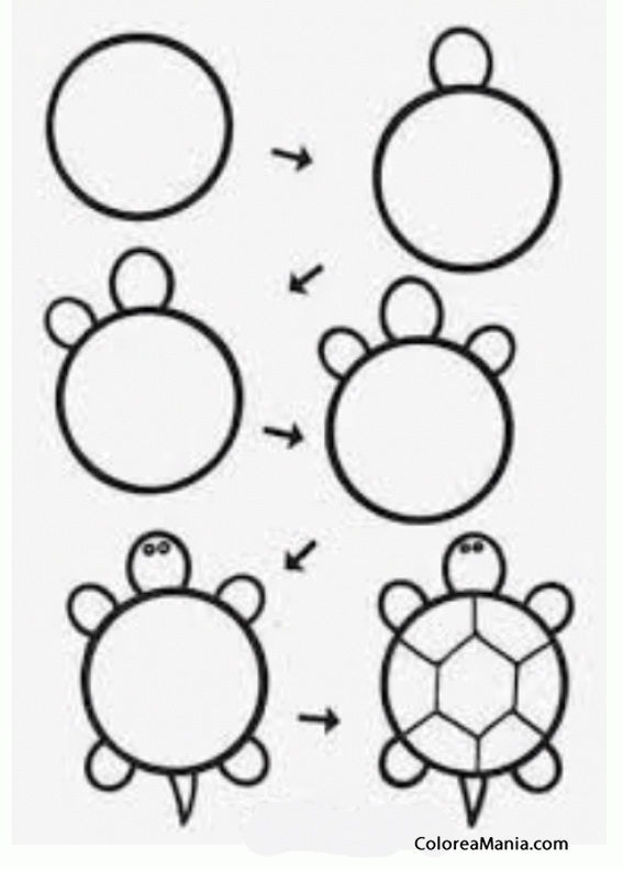 Colorear Como dibujar una tortuga 2
