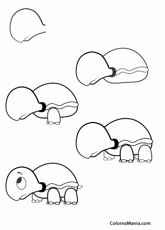 Colorear Dibujar tortuga, cómic