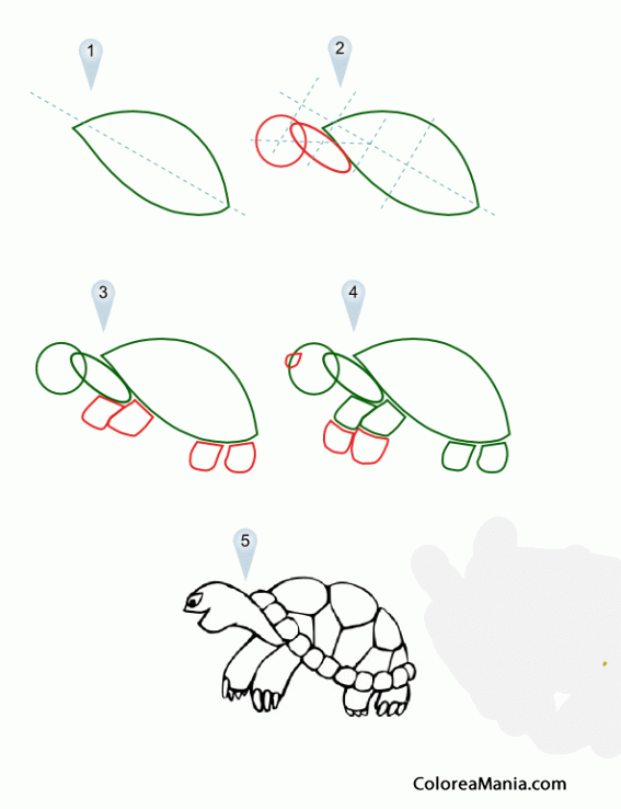 Colorear Dibujar tortuga de cómic en 5 pasos