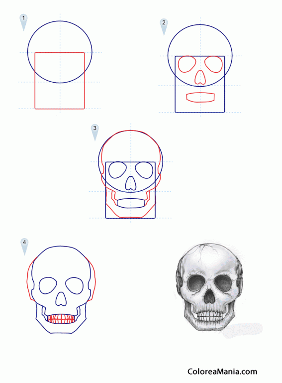 Colorear Como dibujar una calavera (Cómo dibujar personajes), dibujo para colorear gratis Colorear Como dibujar una calavera (Cómo dibujar personajes), dibujo para colorear gratis
