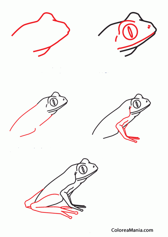Colorear Como dibujar rana
