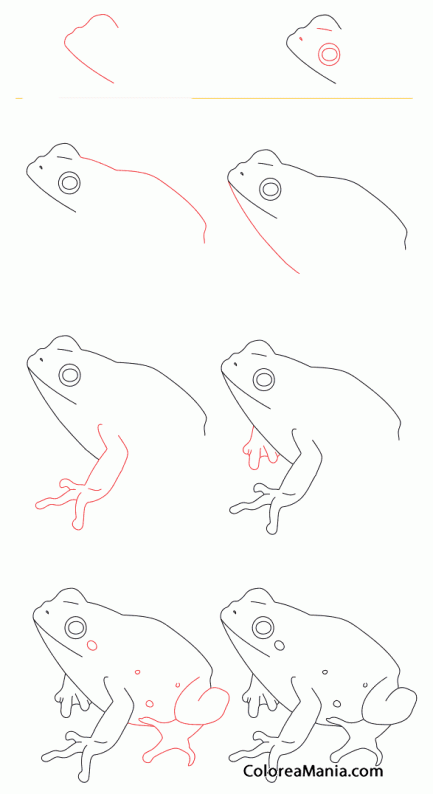 Colorear Como dibujar una rana se rbol amarilla