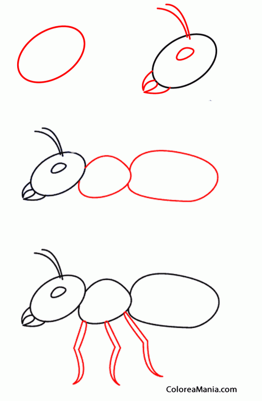 Colorear Como dibujar una hormiga