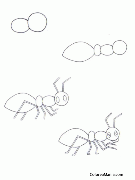 Colorear Dibujar hormiga