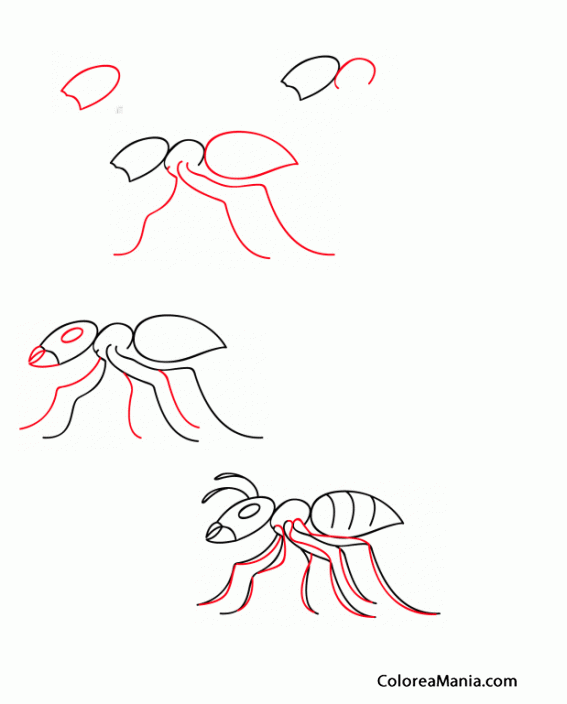 Colorear Com dibuixar una formiga